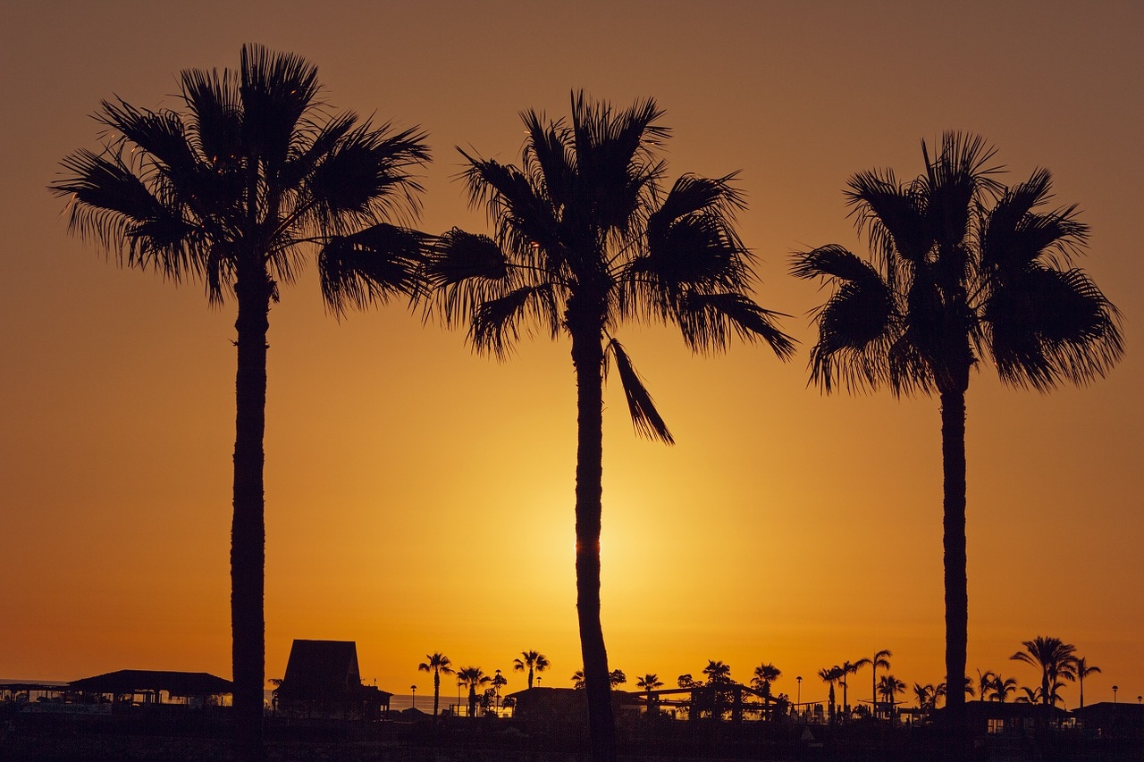 https://viajescanals.com/viajes/assets/upload/d34.jpg